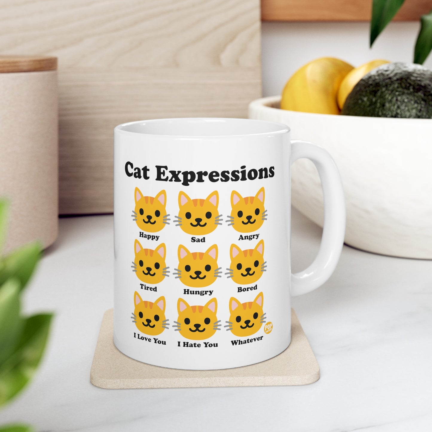 Cat Expressions Mug