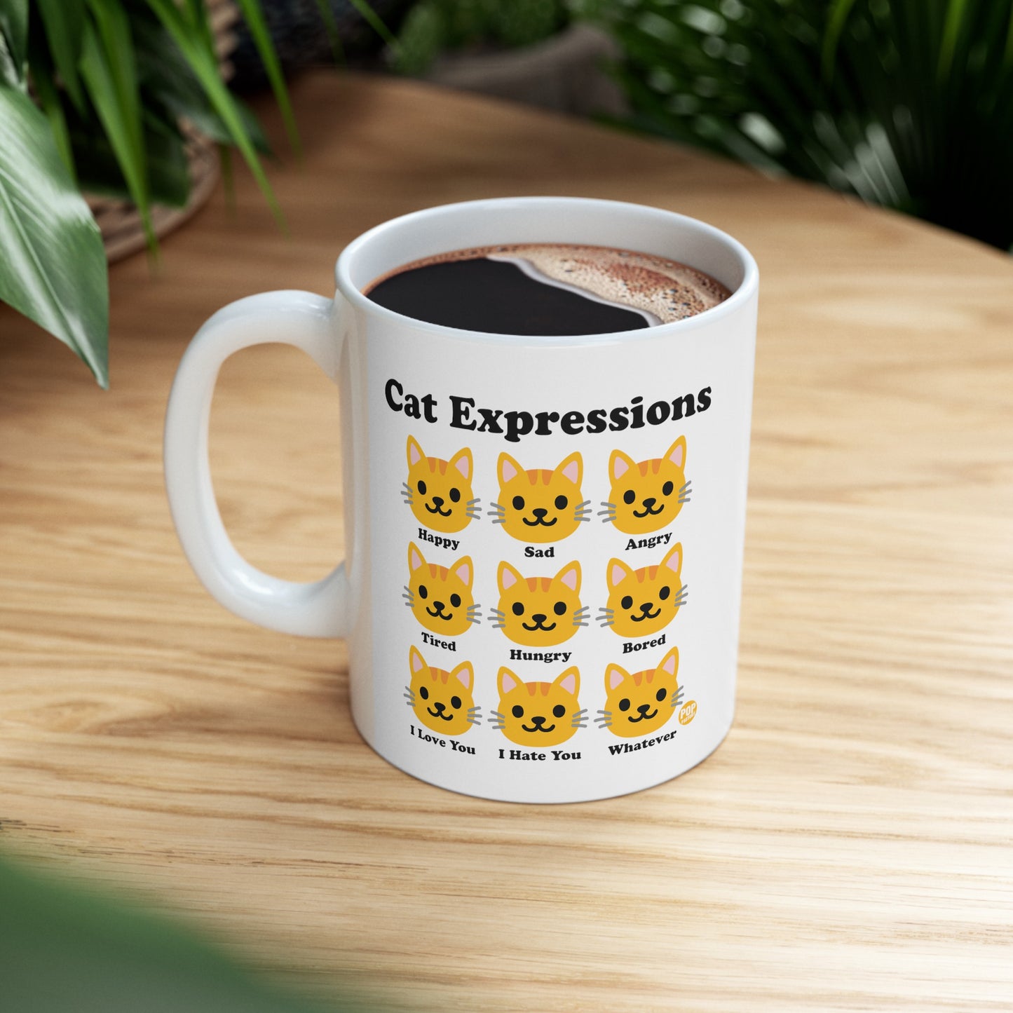 Cat Expressions Mug