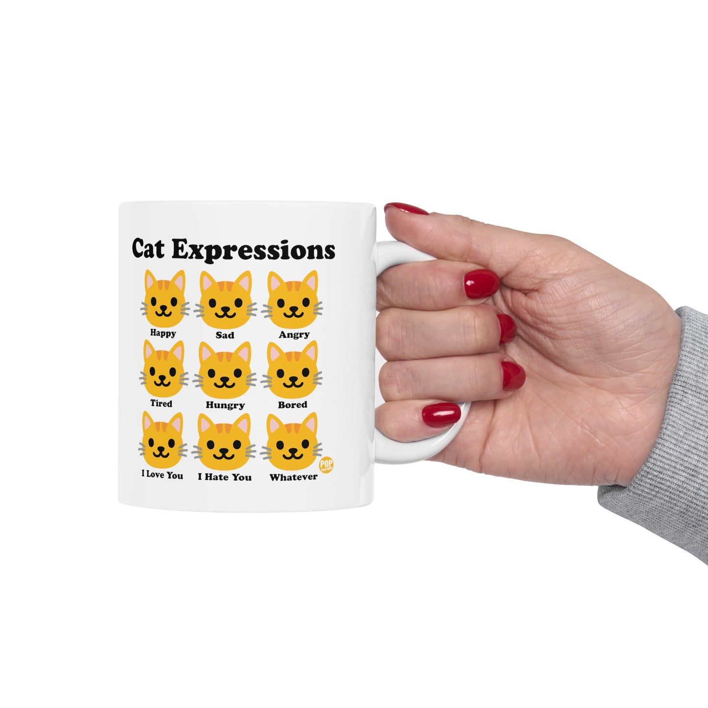 Cat Expressions Mug