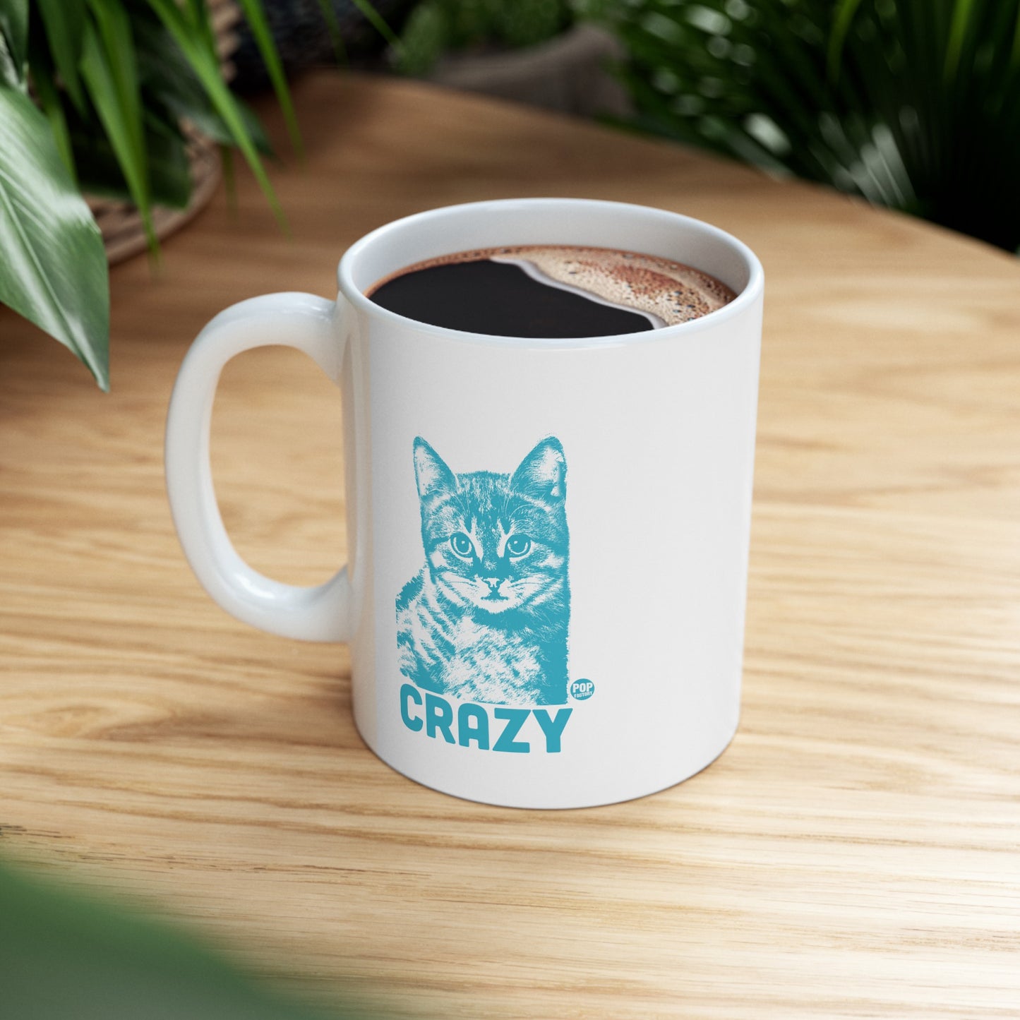 Crazy Cat Mug