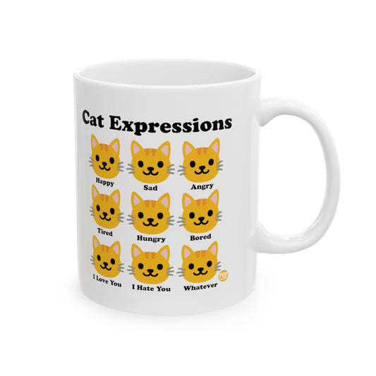 Cat Expressions Mug