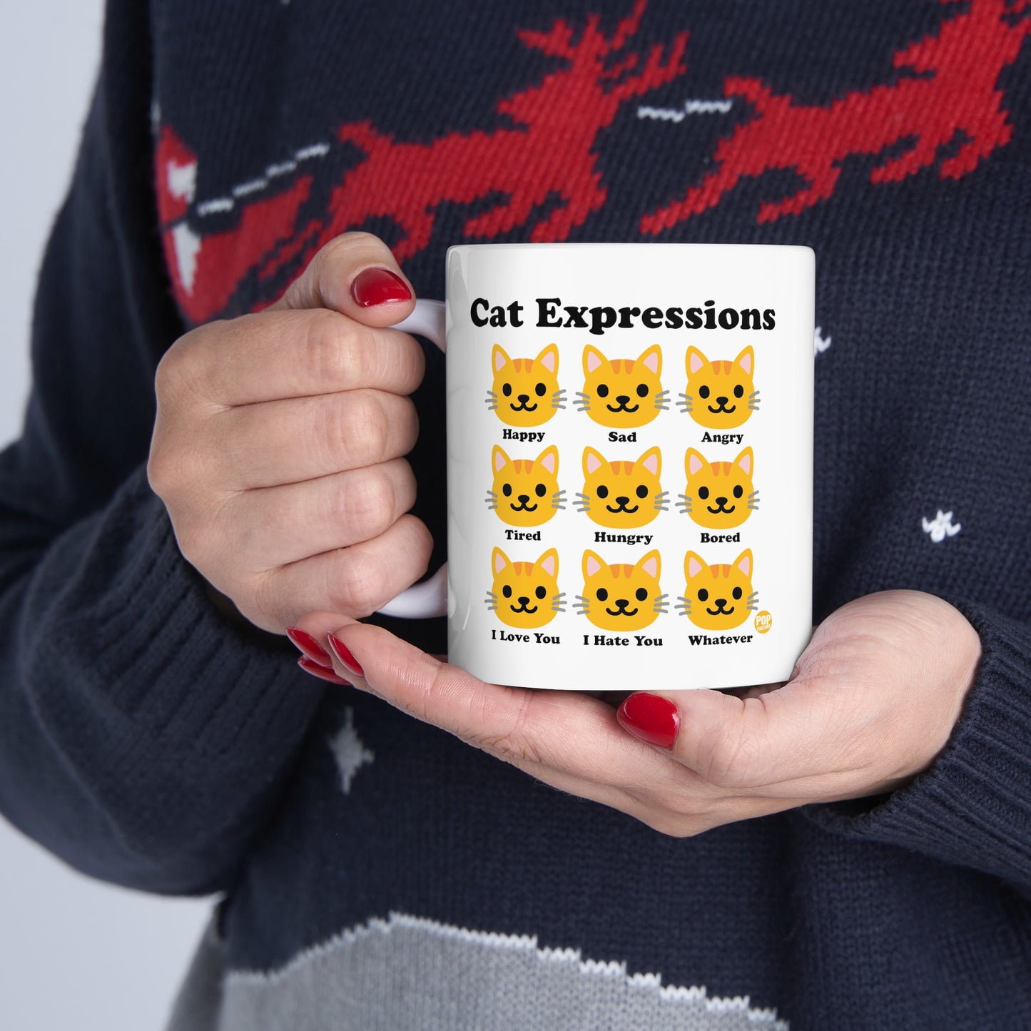 Cat Expressions Mug