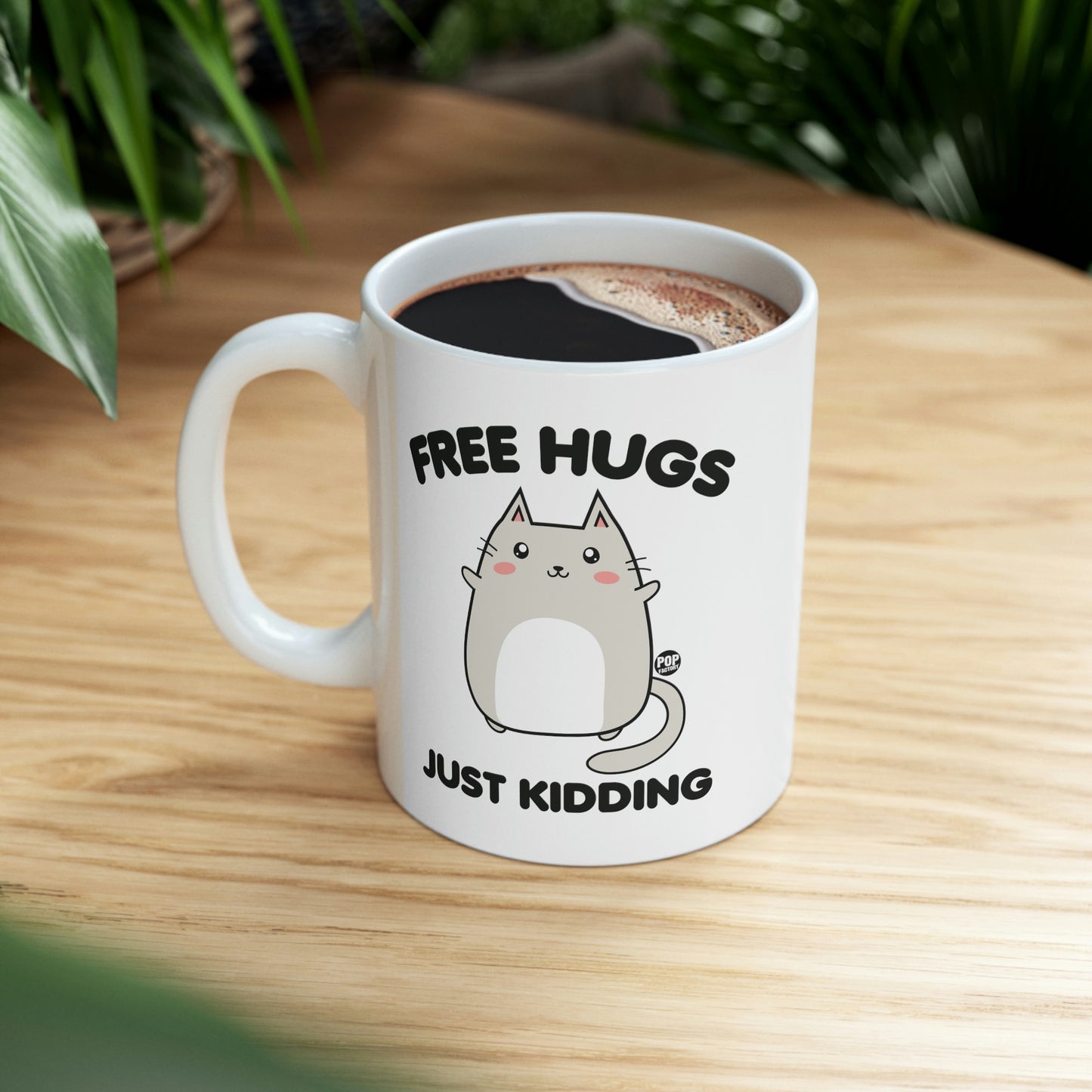 FREE HUGS JUST KIDDING CAT COFFEE MUG