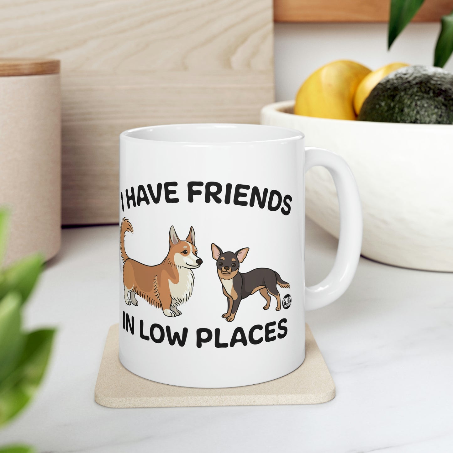 FRIENDS LOW PLACES DOGS COFFEE MUG