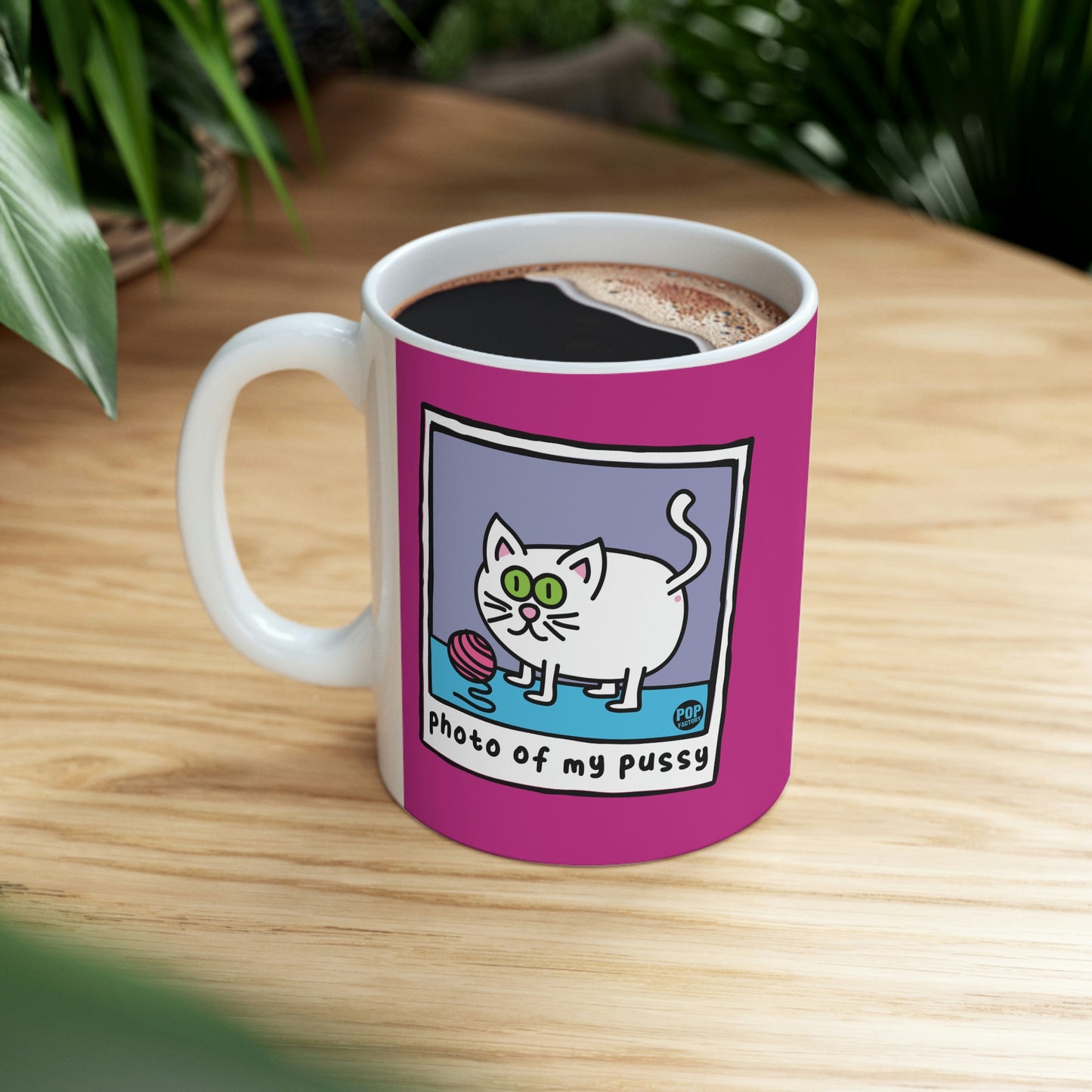 PHOTO OF MY PUSSY COFFEE MUG