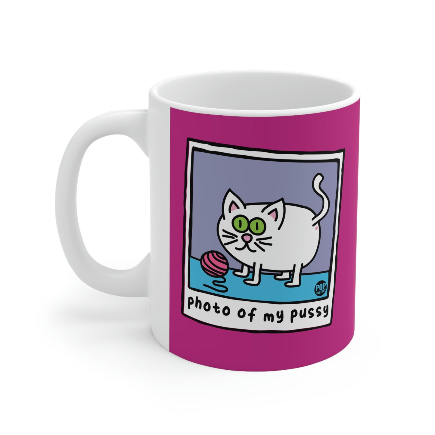 PHOTO OF MY PUSSY COFFEE MUG