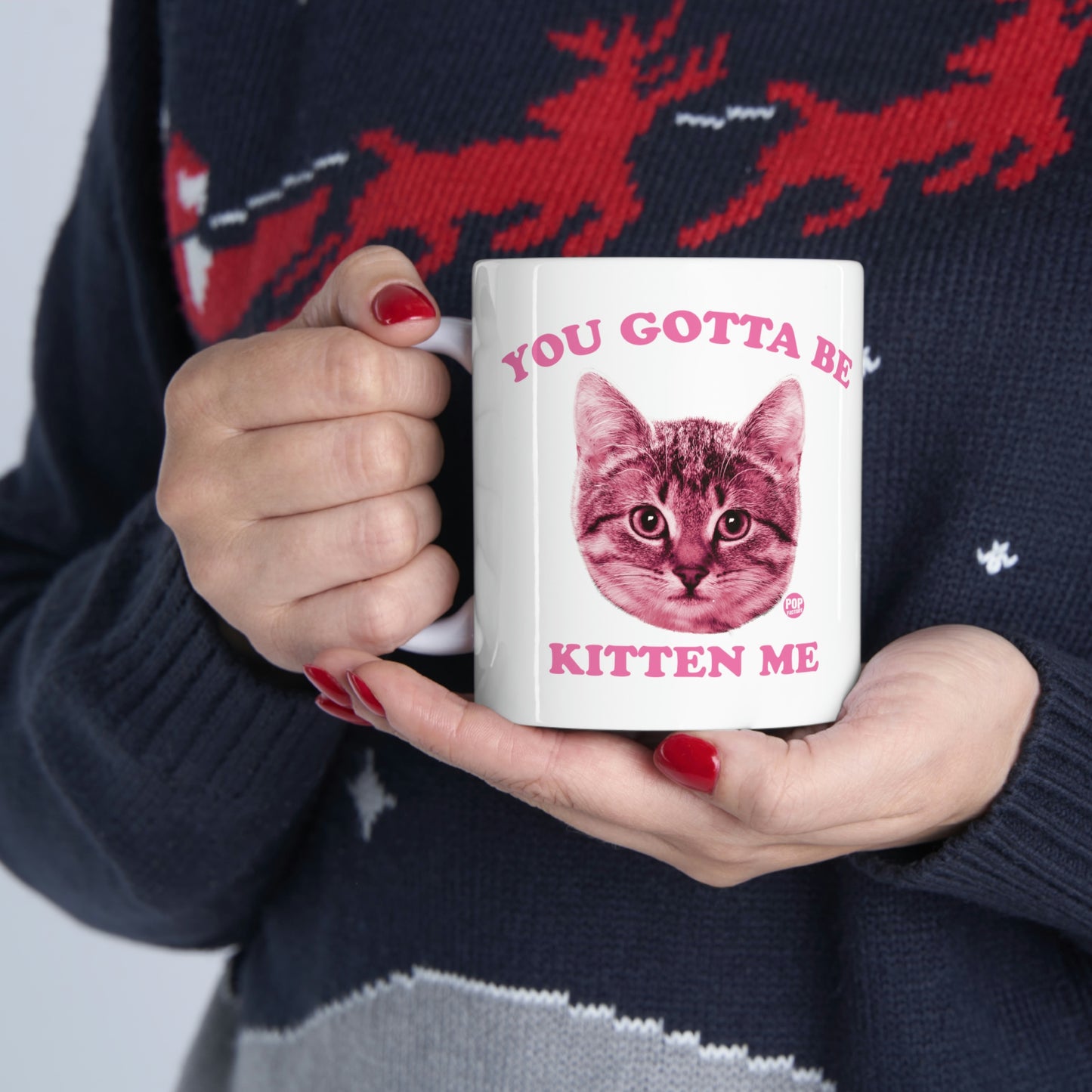 You Gotta Be Kitten Me Mug