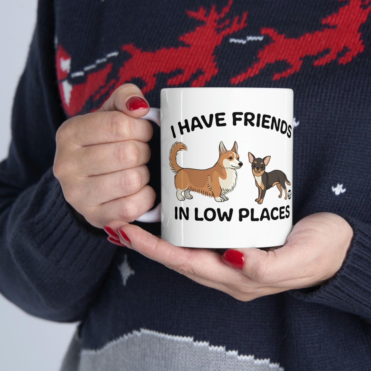 FRIENDS LOW PLACES DOGS COFFEE MUG