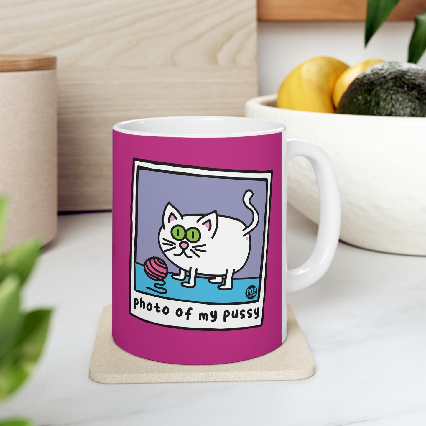 PHOTO OF MY PUSSY COFFEE MUG