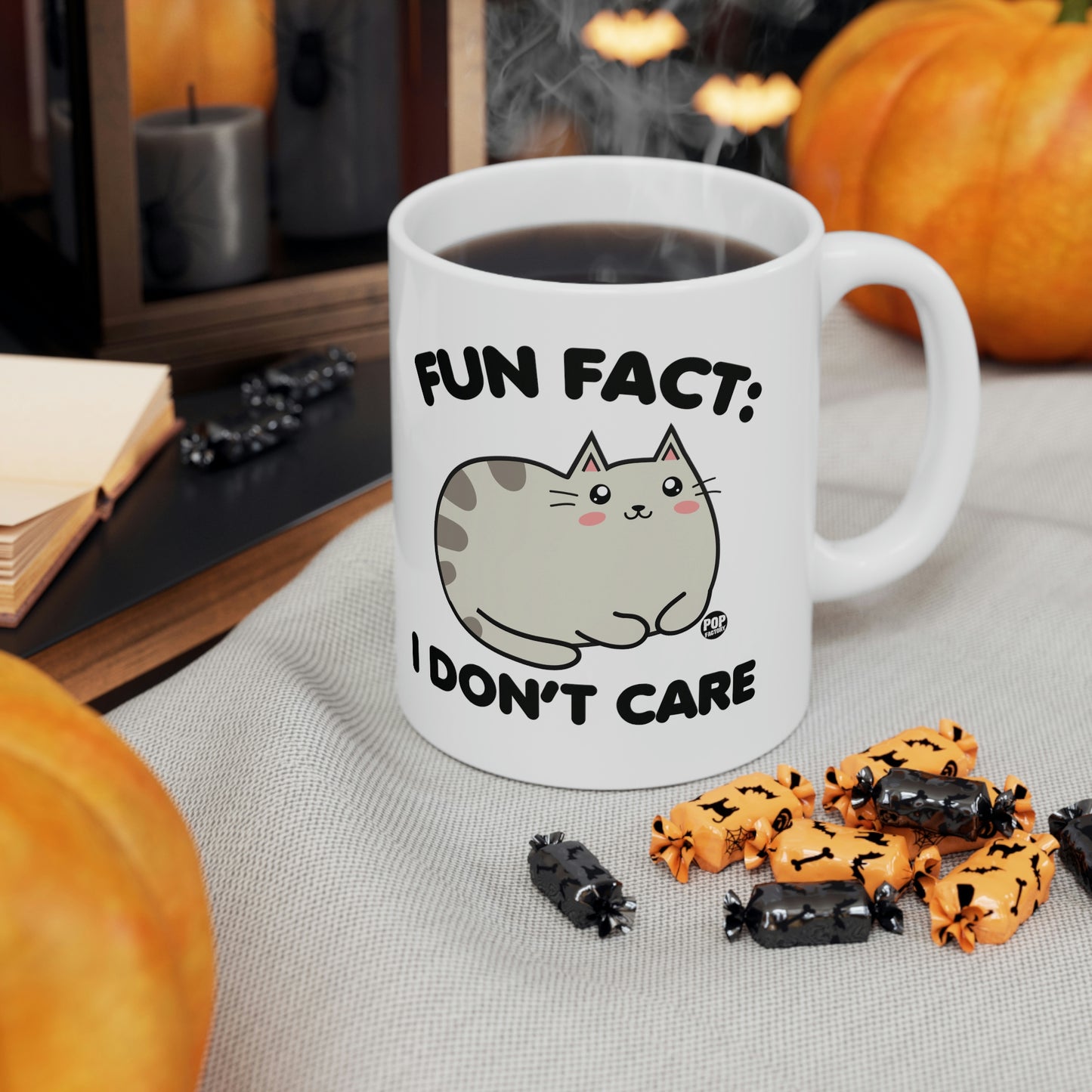 FUN FACT: I DON'T CARE CAT COFFEE MUG