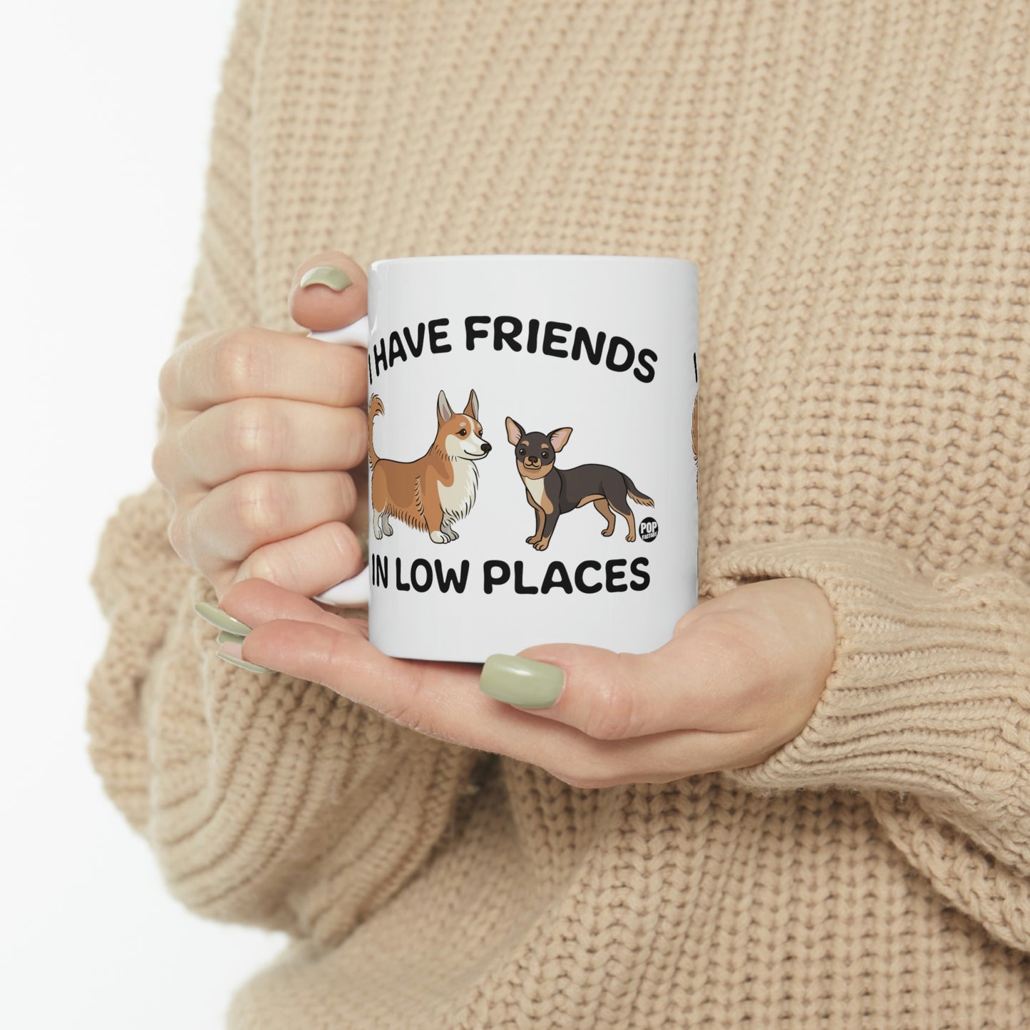 FRIENDS LOW PLACES DOGS COFFEE MUG