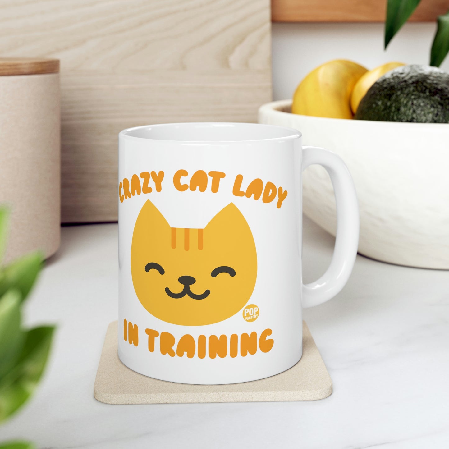 CRAZY CAT LADYIN TRAINING COFFEE MUG