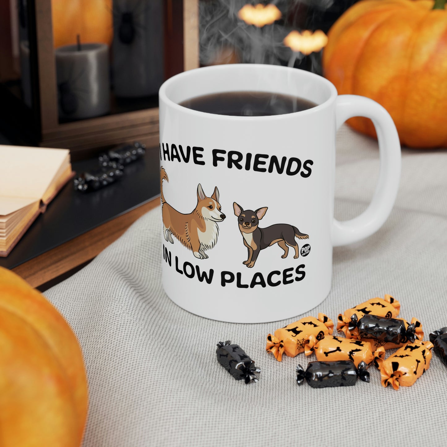 FRIENDS LOW PLACES DOGS COFFEE MUG