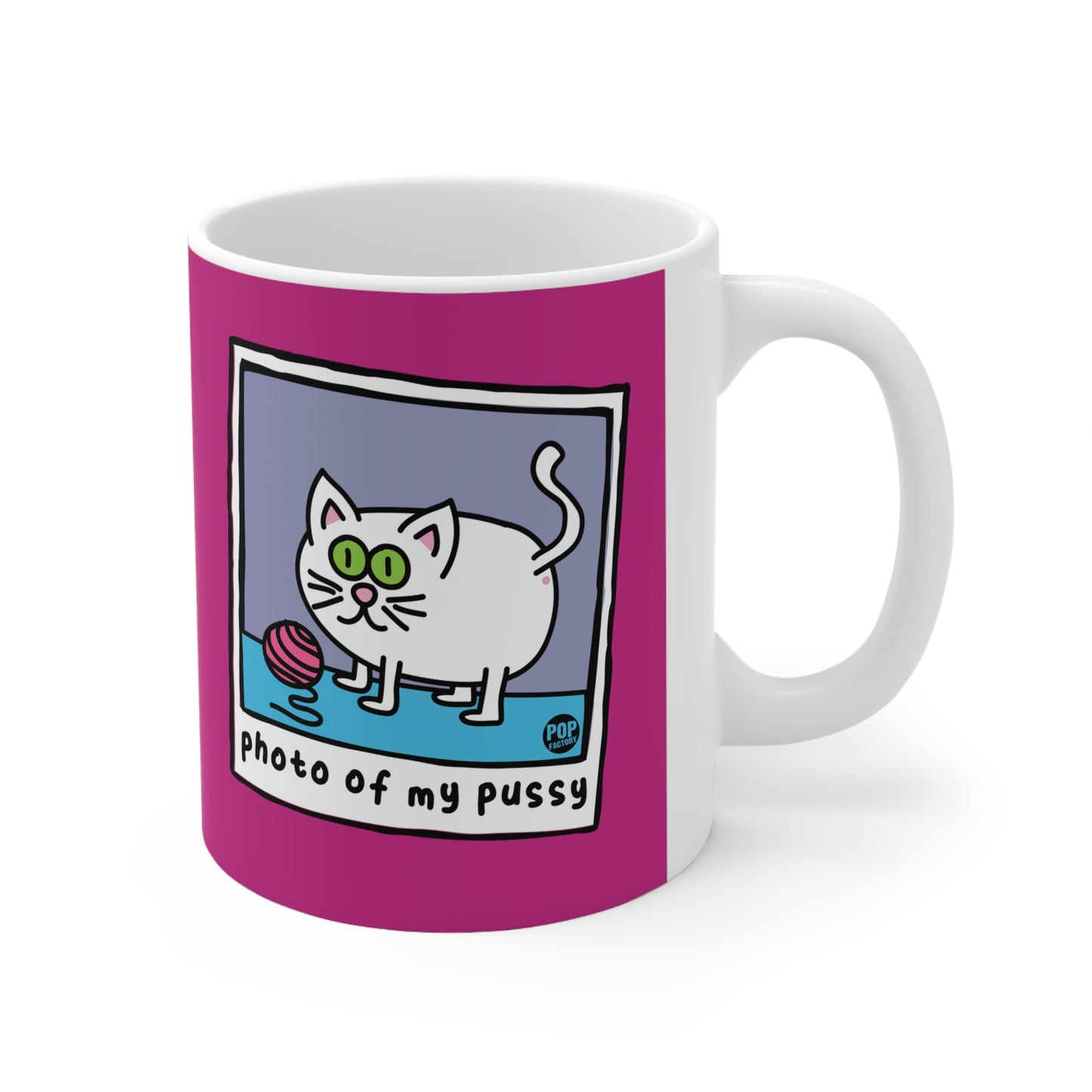 PHOTO OF MY PUSSY COFFEE MUG