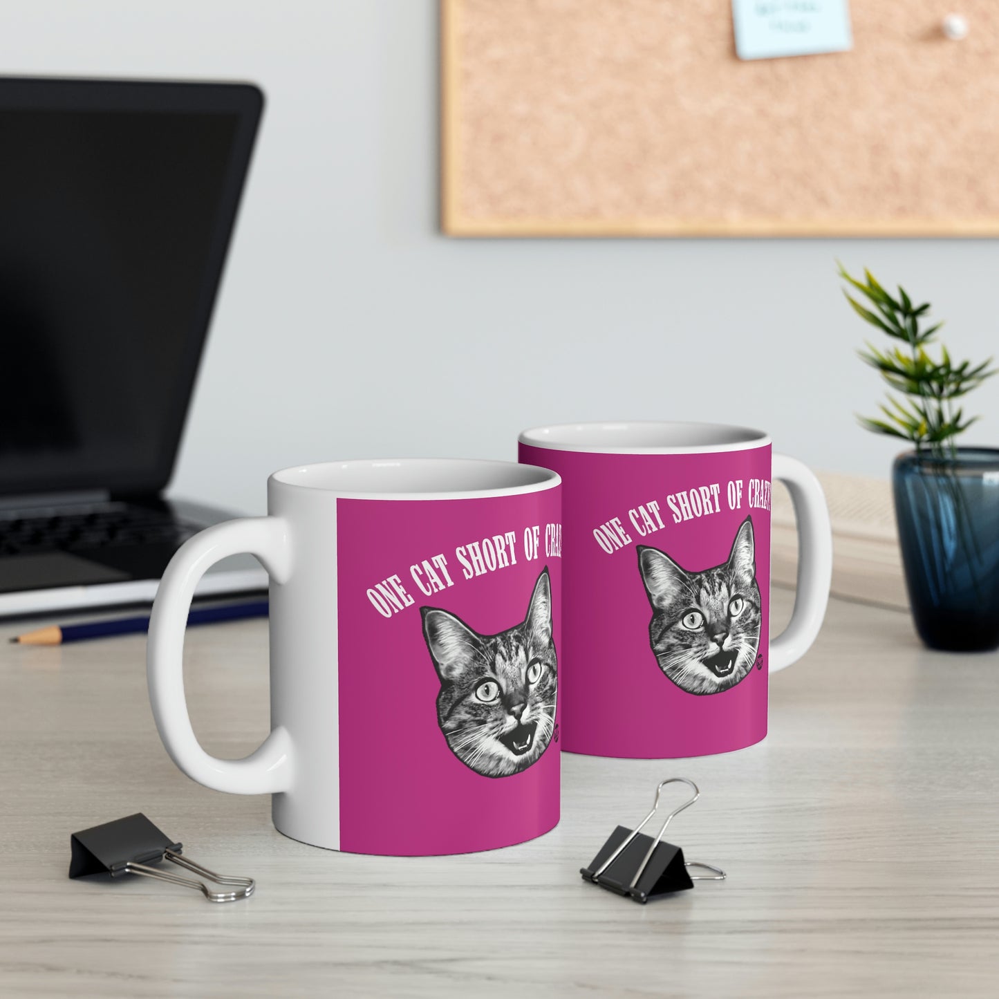 ONE CAT SHORT OF CRAZY!  COFFEE MUG