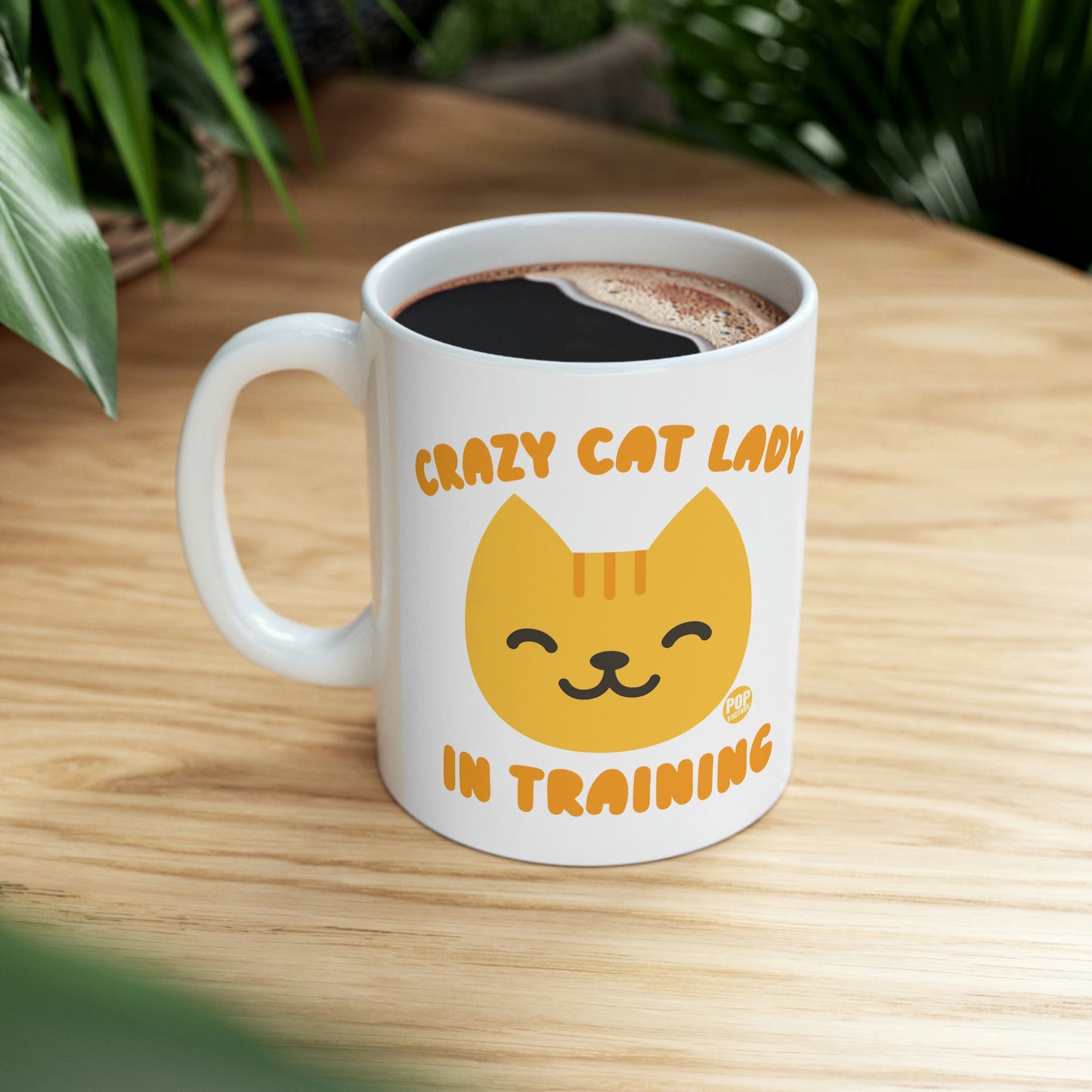 CRAZY CAT LADYIN TRAINING COFFEE MUG