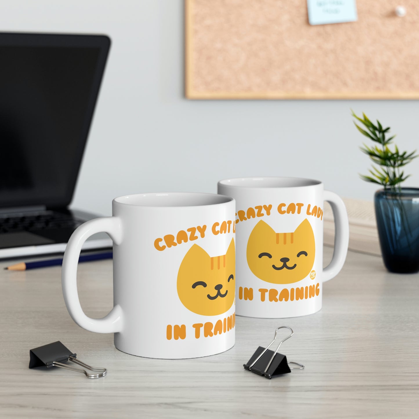 CRAZY CAT LADYIN TRAINING COFFEE MUG