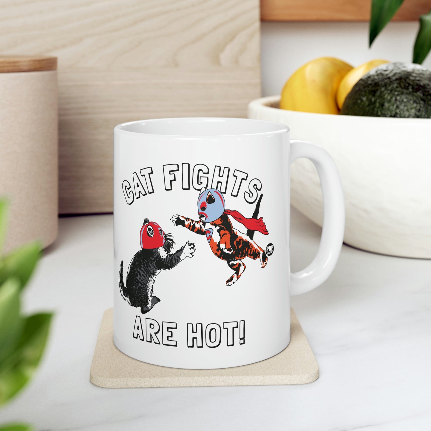 CAT FIGHTS ARE HOT! COFFEE MUG