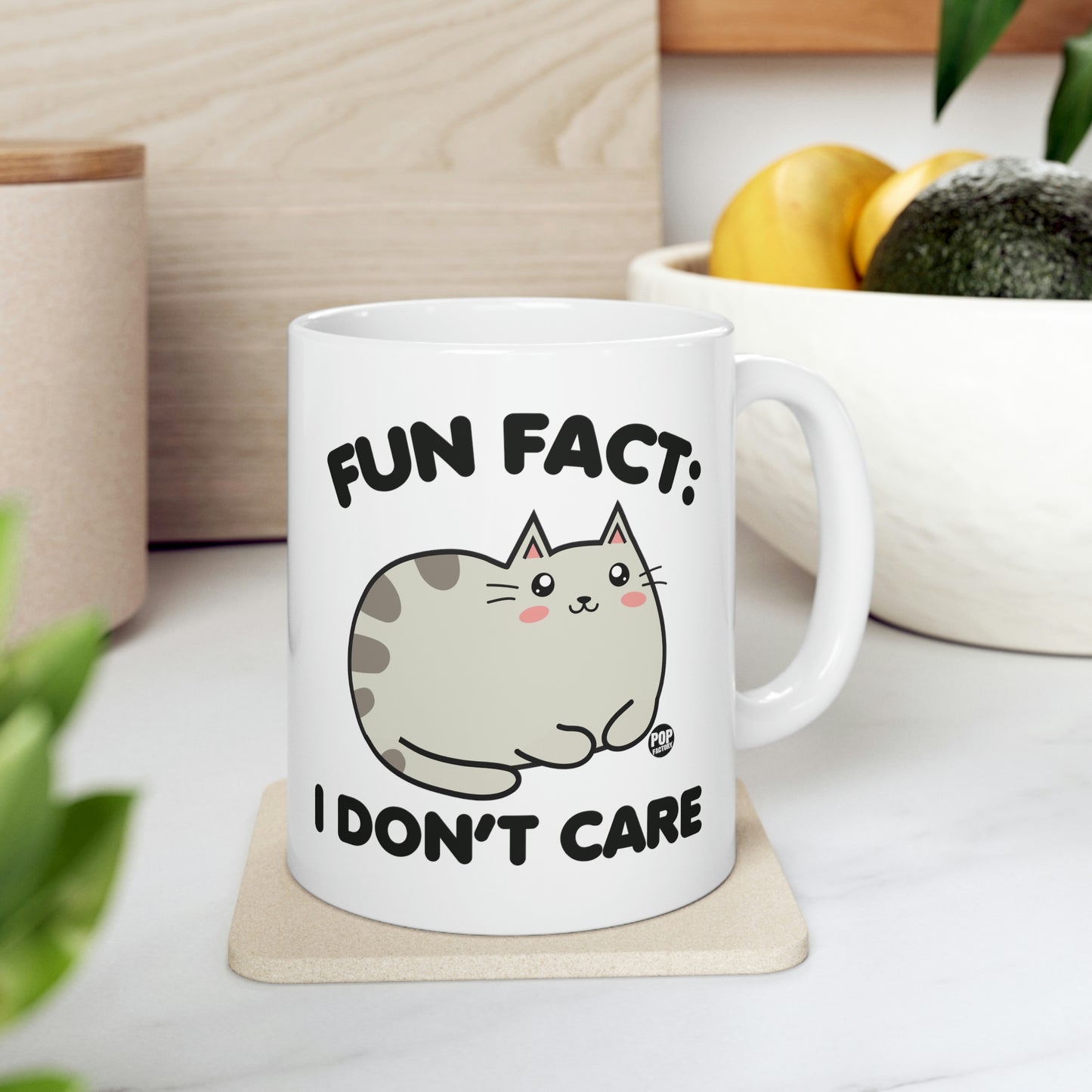 FUN FACT: I DON'T CARE CAT COFFEE MUG