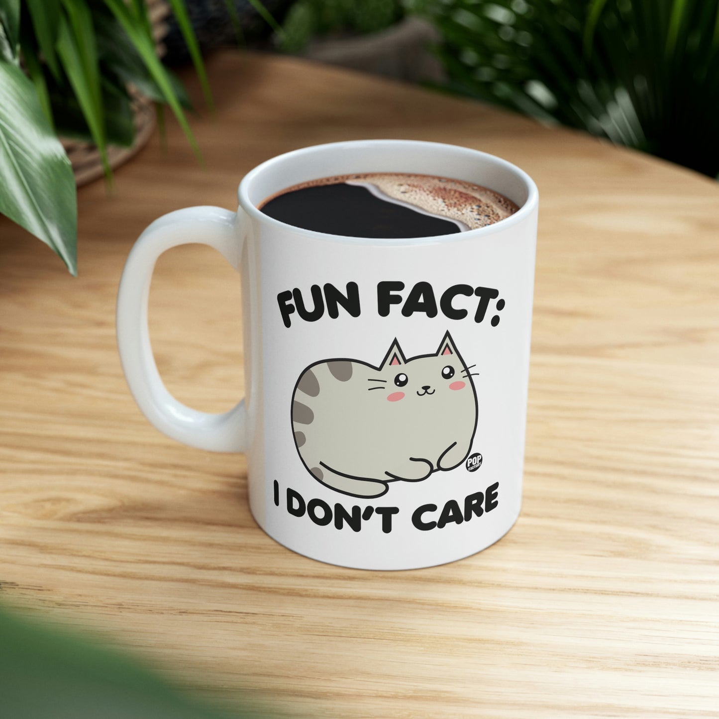 FUN FACT: I DON'T CARE CAT COFFEE MUG